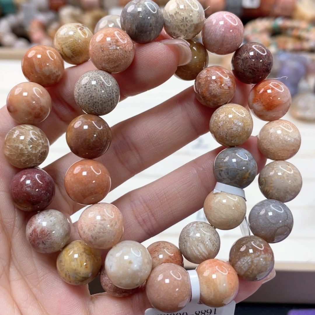 未镶嵌手链硅化珊瑚（珊瑚玉）曾*289