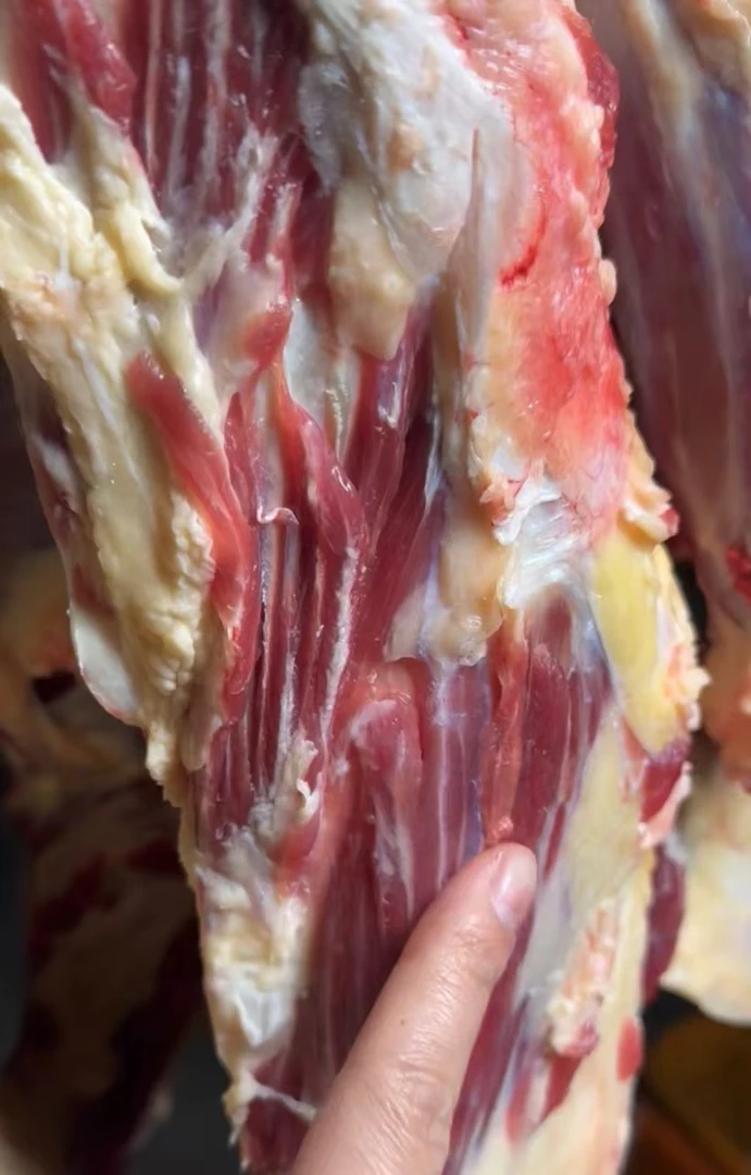 新鲜现宰黄牛肉，按部位选择，冷链发货