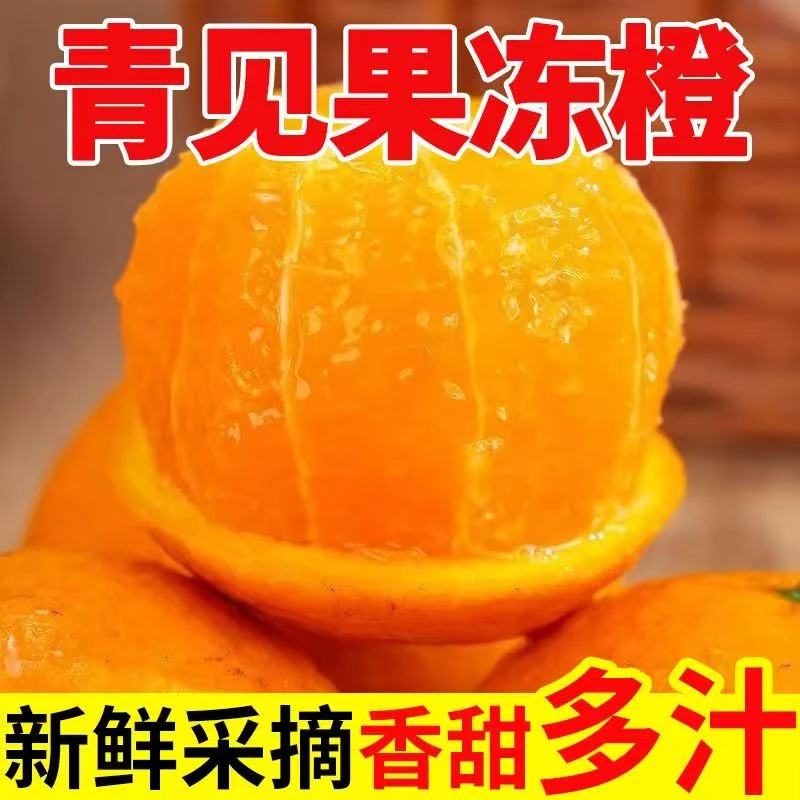 【爆汁】四川青见果冻橙柑橘新鲜柑橘新鲜水果脐橙榨汁手剥橙橘子