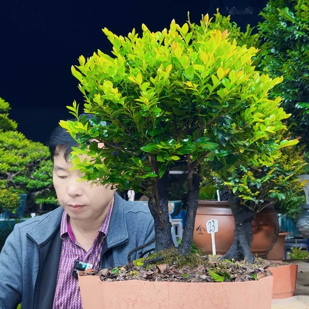 以实际为准井**发12345678