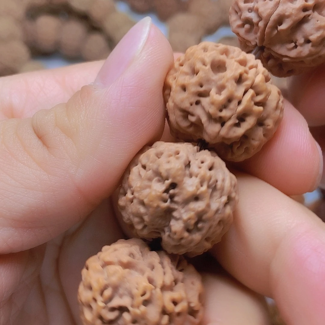 金刚菩提把件5瓣24双龙