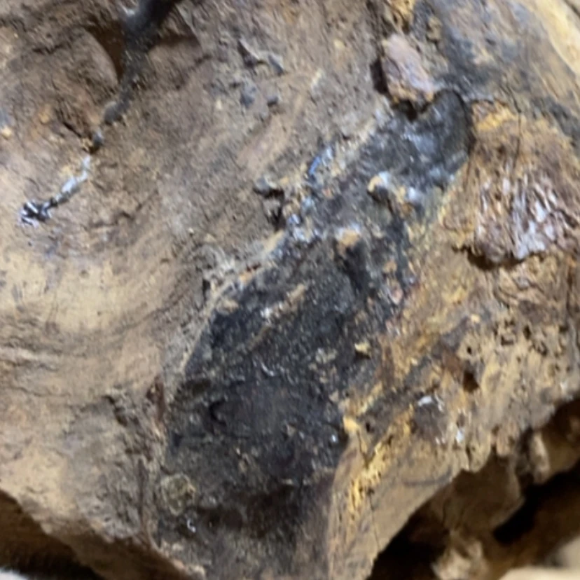 【闪购商品】贡木其他最*好定制1234569999