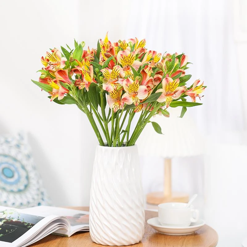 云南鲜花基地直发水仙百合六初花家庭办公室水养瓶插花空运包邮