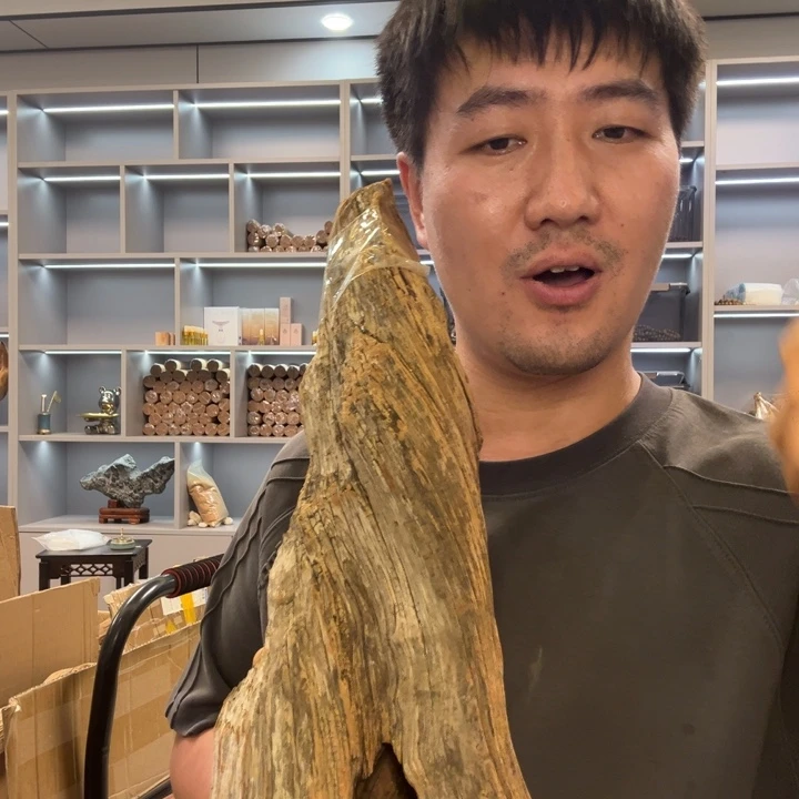 有机玻璃崖柏摆件
