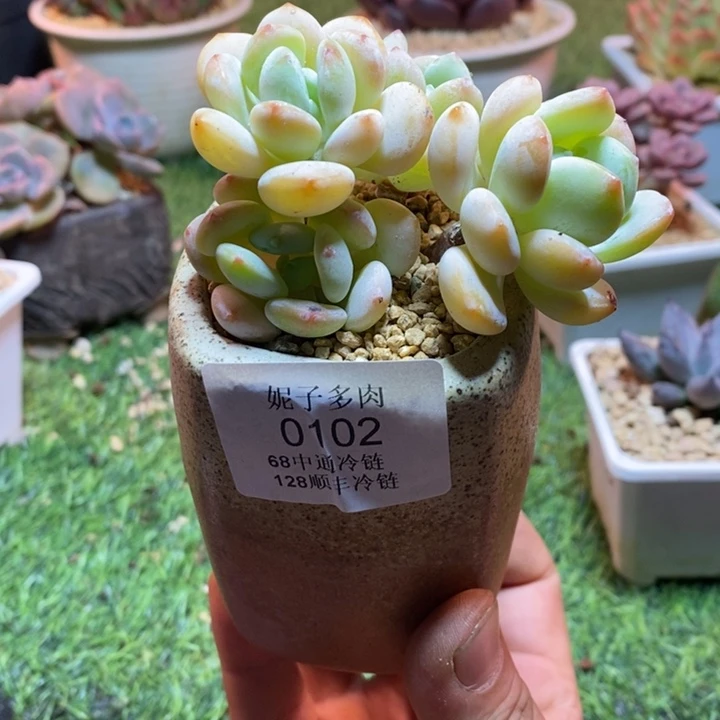 0102啊啊啊啊啊啊啊啊啊啊啊