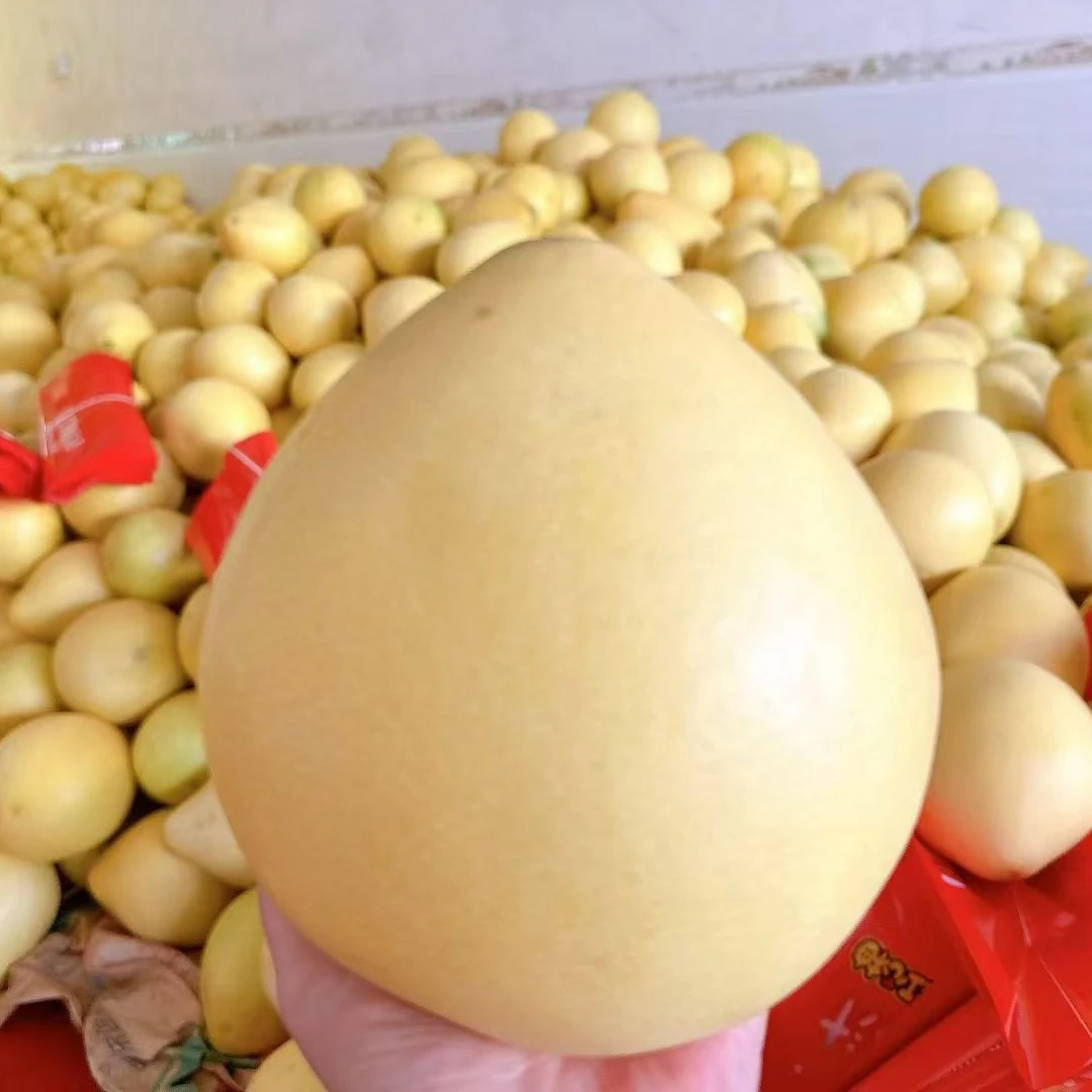 福建平和红心蜜柚老树头茬新鲜水果薄皮多汁清甜可口柚子红柚