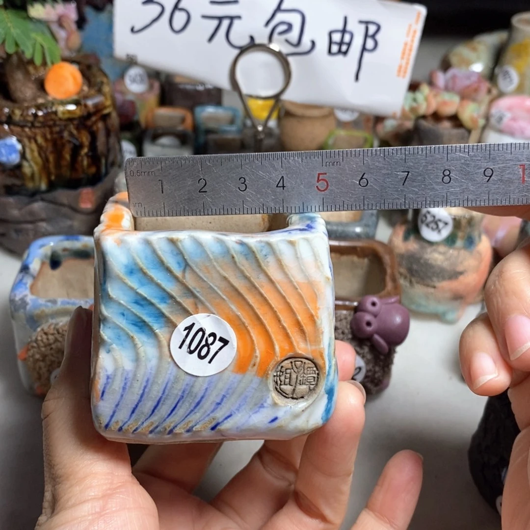 拍3送一个小礼物