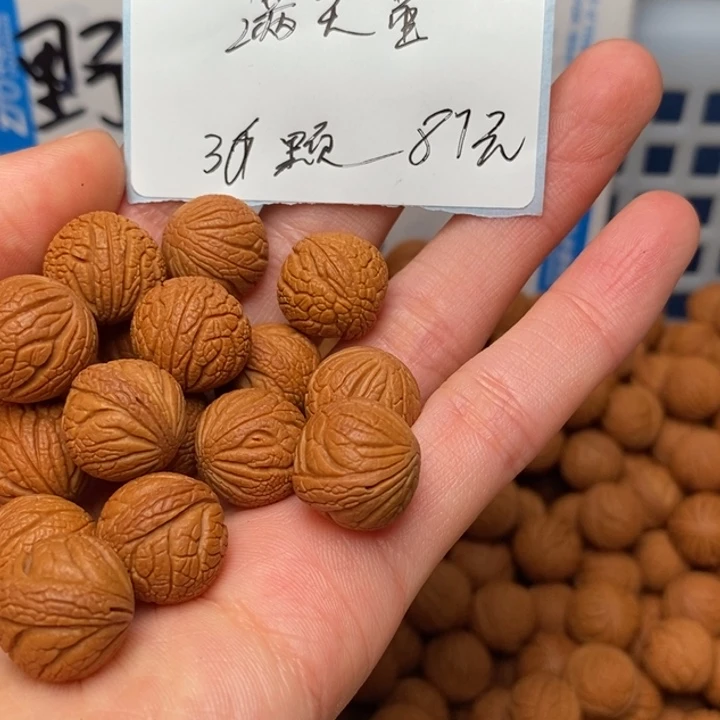 桃核手串14尺寸左右野生满天星36颗（打孔）