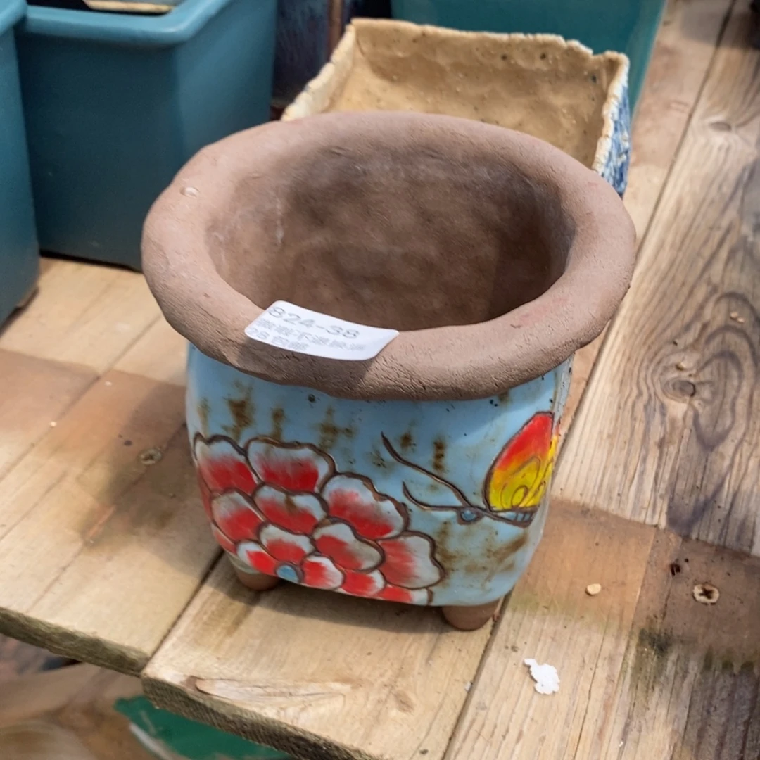 38号花盆内9.5高11