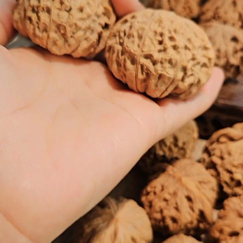 文玩核桃吊坠48.5南瓜