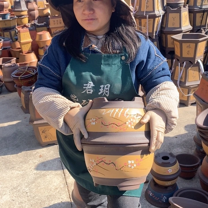 紫砂花盆盆栽花卉苗木种植