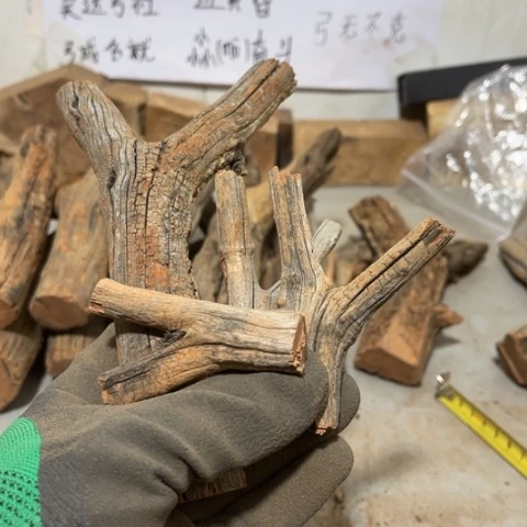 大果紫檀（缅甸花梨）长**安