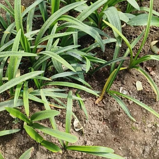 *****完全开放第九章3+