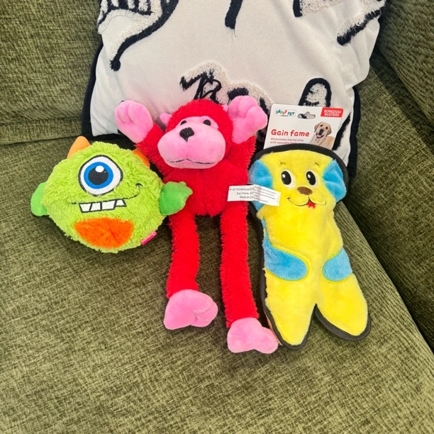 狗狗玩具互动陪伴拉扯磨牙洁齿清洁口腔安抚耐撕咬宠物毛绒玩偶狗