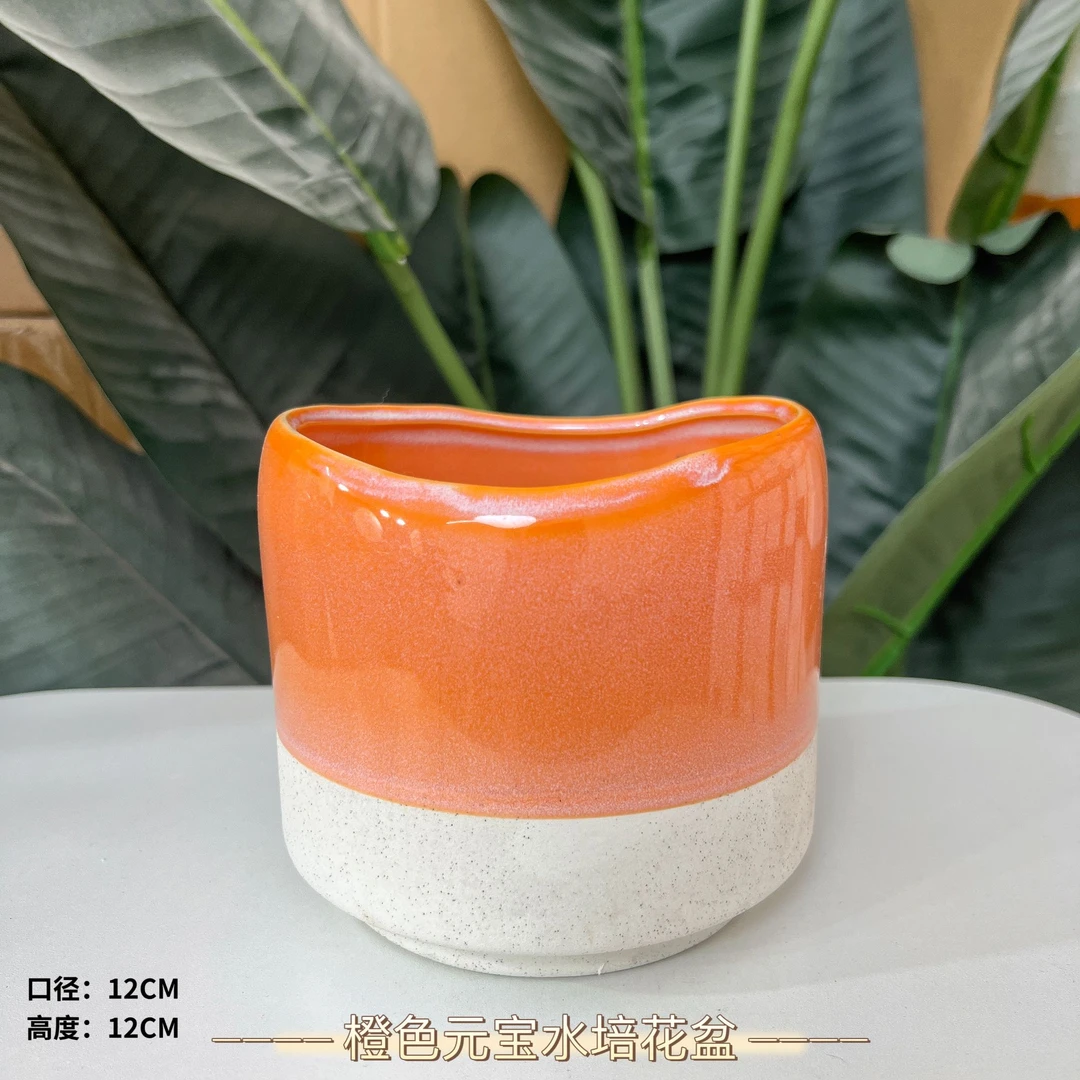 橙色元宝水培花盆口12高12绿箩郁金香水仙花通用