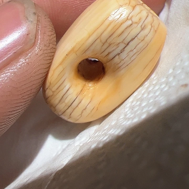 香榧木你的时候你