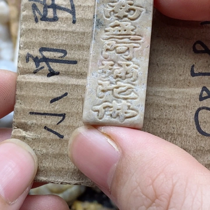 颈饰未镶嵌硅化珊瑚（珊瑚玉）A****)