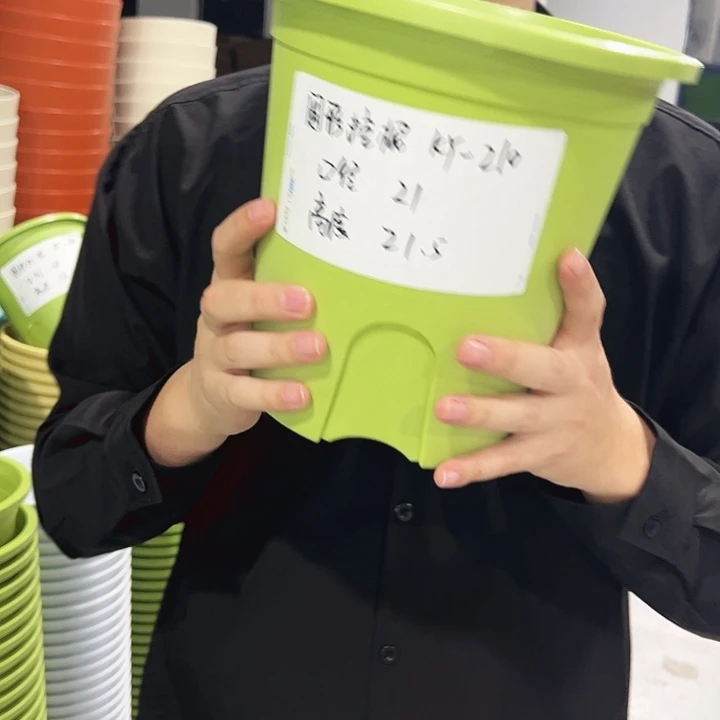 正品圆控口21高21混色8只无托