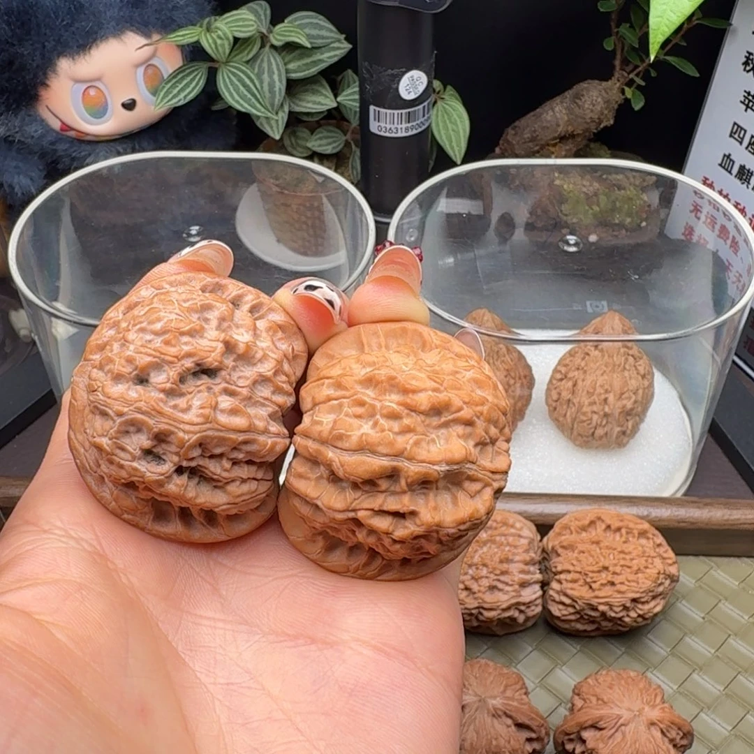 d***o核桃血麒麟（微修）42