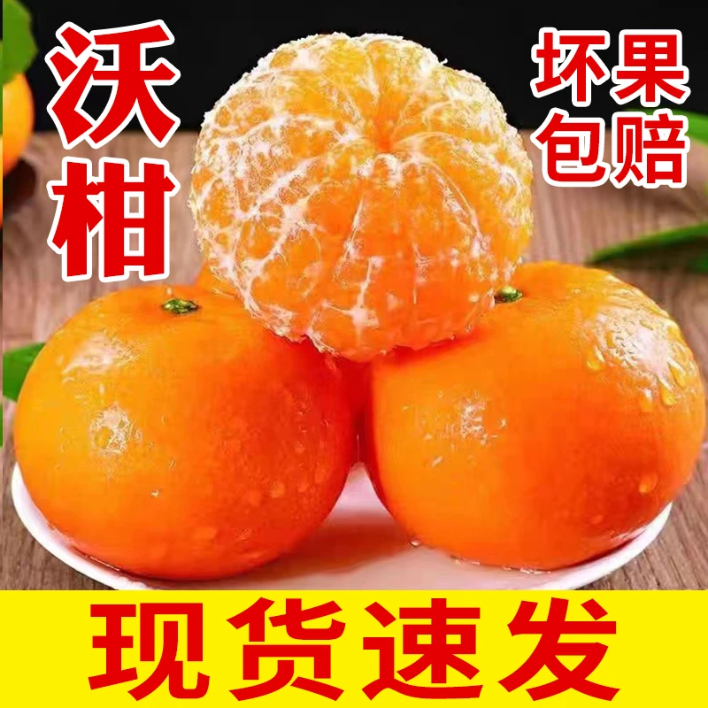 正宗广西时令水果武鸣沃柑脆甜多汁新鲜采摘皮薄肉厚