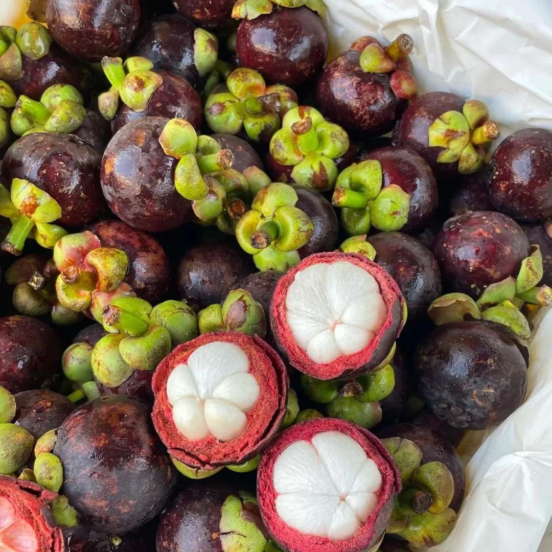 4A泰国老树山竹一斤