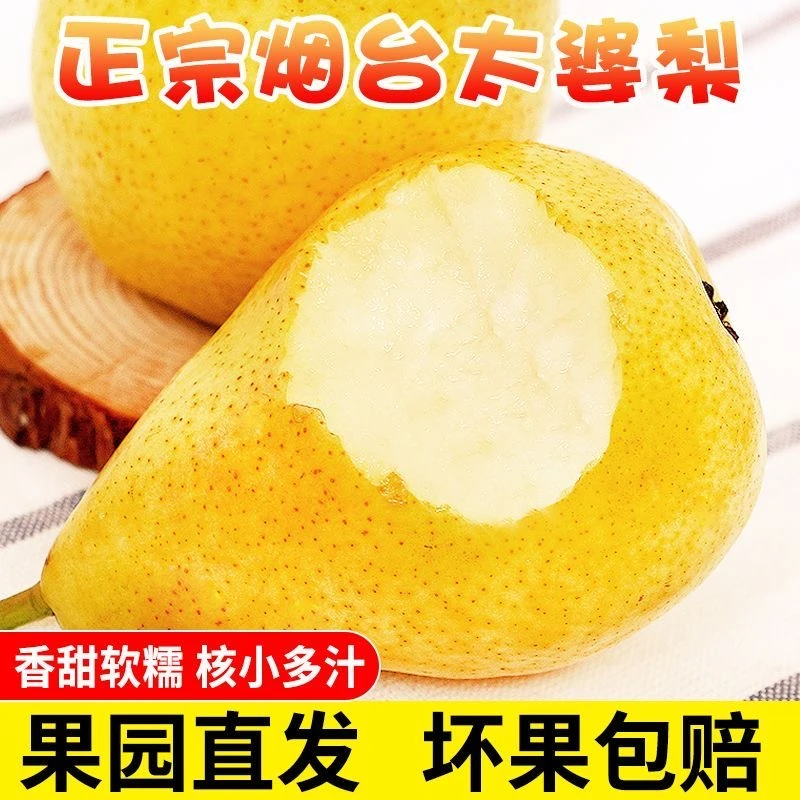 S1【顺丰/京东】烟台栖霞香蕉梨太婆梨产地直发当季新鲜采摘大果