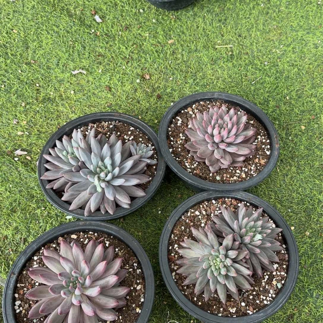 福利多大的点点滴滴