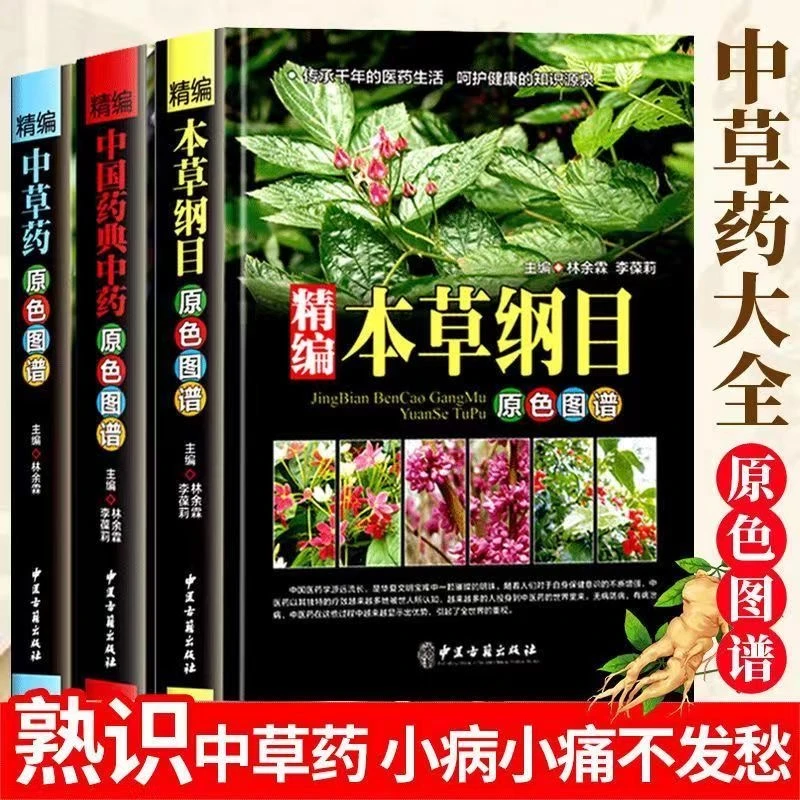 精编 本草纲目中草药中国药典 原彩色图谱 中医书籍