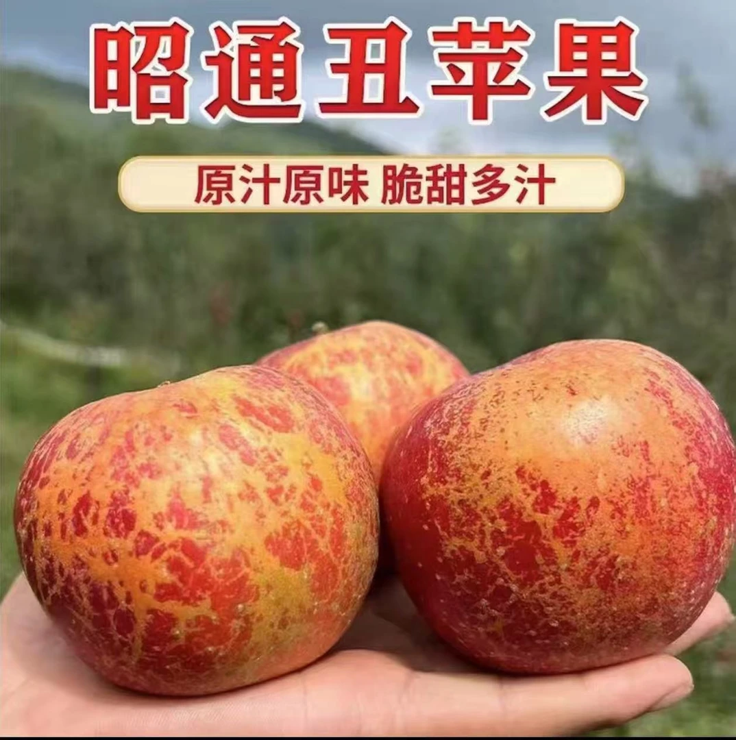 云南昭通红露冰糖心丑苹果新鲜现摘现发纯甜脆甜多汁/5/9斤包邮