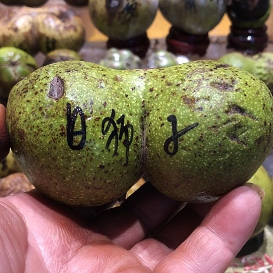 桃核吊坠核桃核桃