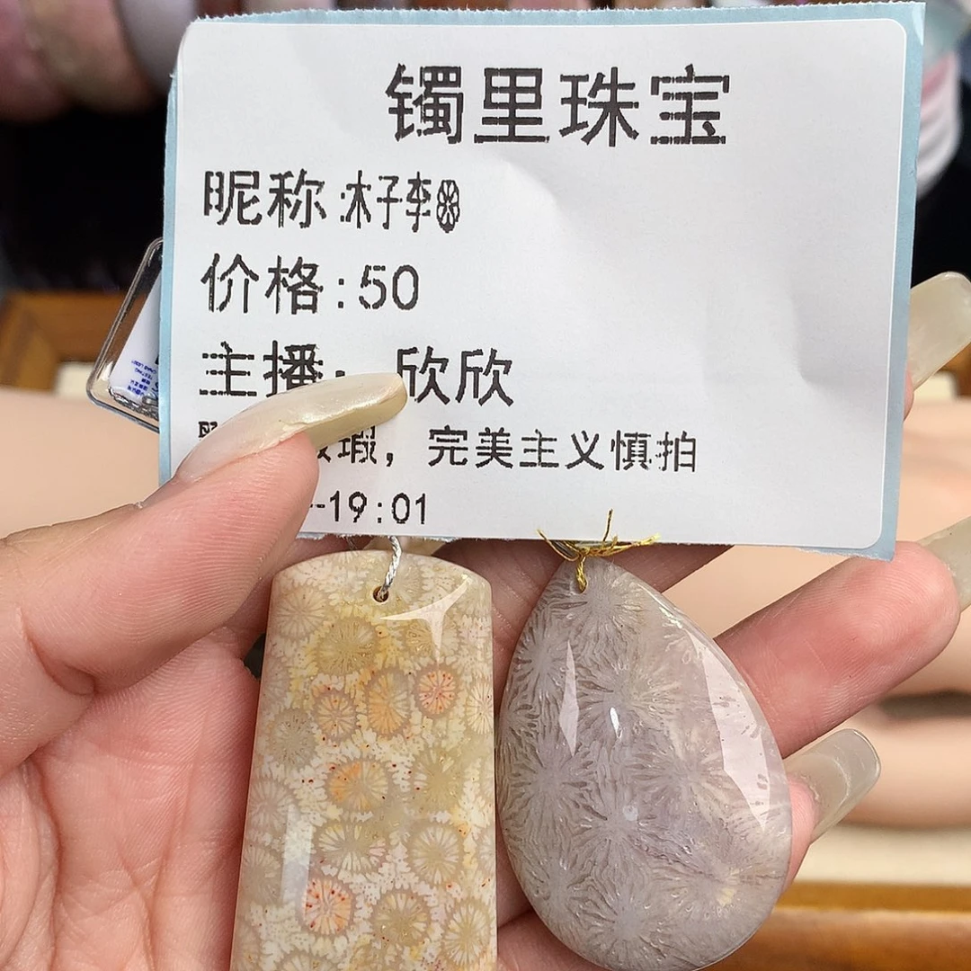 木****硅化珊瑚（珊瑚玉）未镶嵌吊坠(赠链)