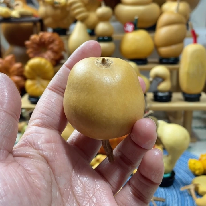 泡***弟25美好的一天从吃