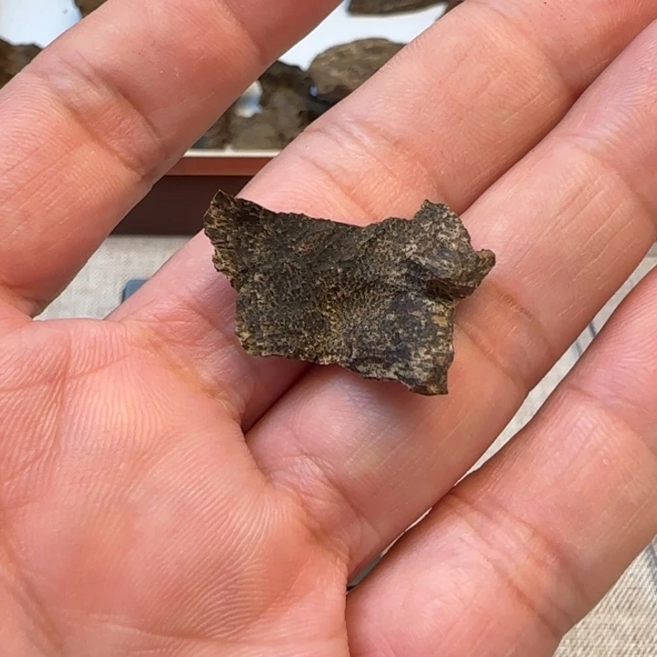 摆件沉香海南黎峒老香