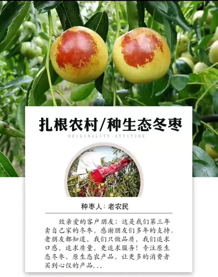 【送礼首选】【礼盒包装】【沾化短枝二代冬枣】【山东特产】