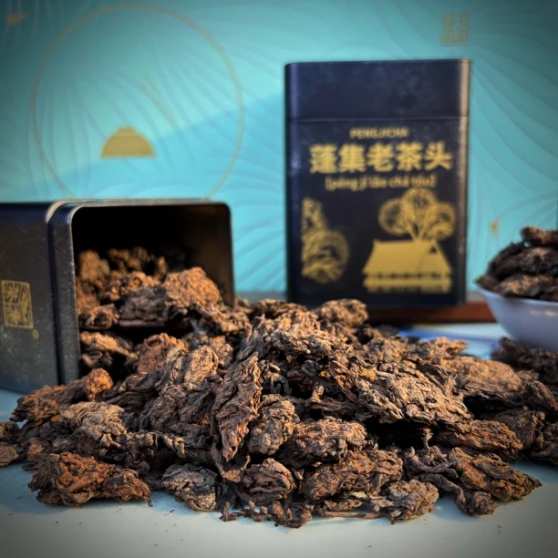 蓬集老茶头 果胶满满 糯糯滑滑