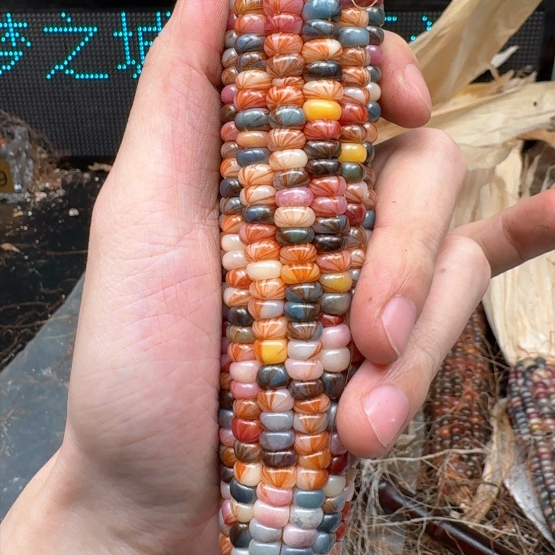 柏香籽/百香籽吊坠┢****┦