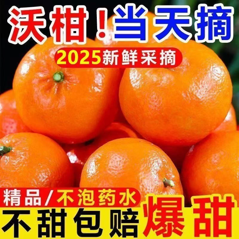 AW正宗广西武鸣沃柑皮薄肉厚新鲜采摘带箱9-10斤略带小花