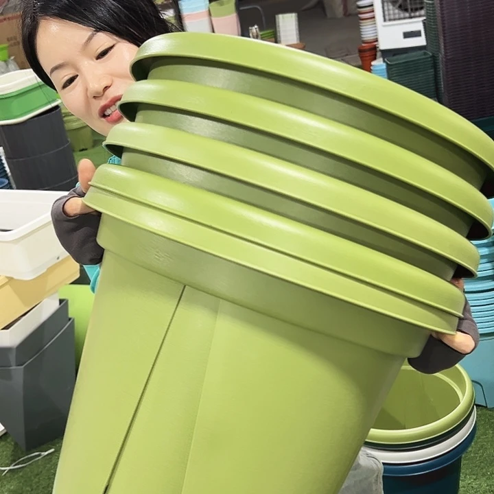 青山口40高34果绿色5个无托