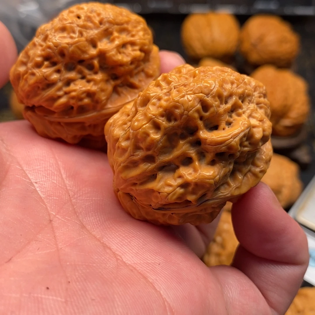 把件文玩核桃龙脊金蝉王