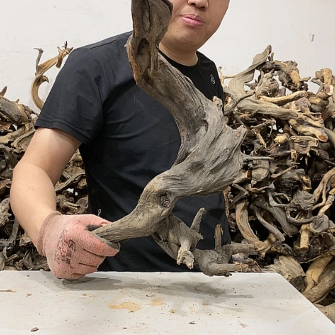 【闪购商品】柏木哦*我们都是好孩子