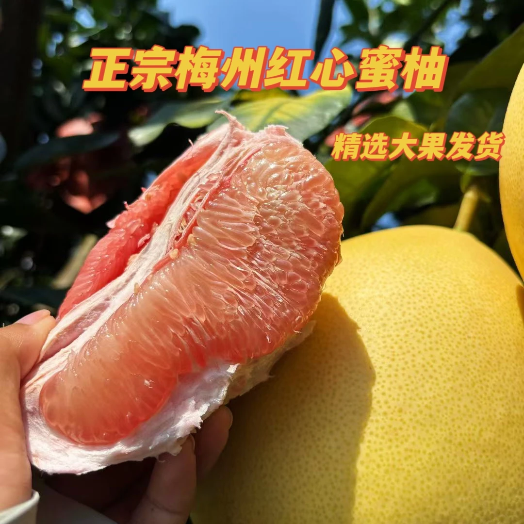 正宗梅州三红蜜柚皮薄肉厚多汁中秋国庆送礼佳品京东包邮