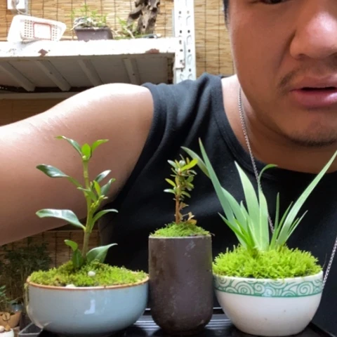 红陶?****?一物一拍所见即所得64