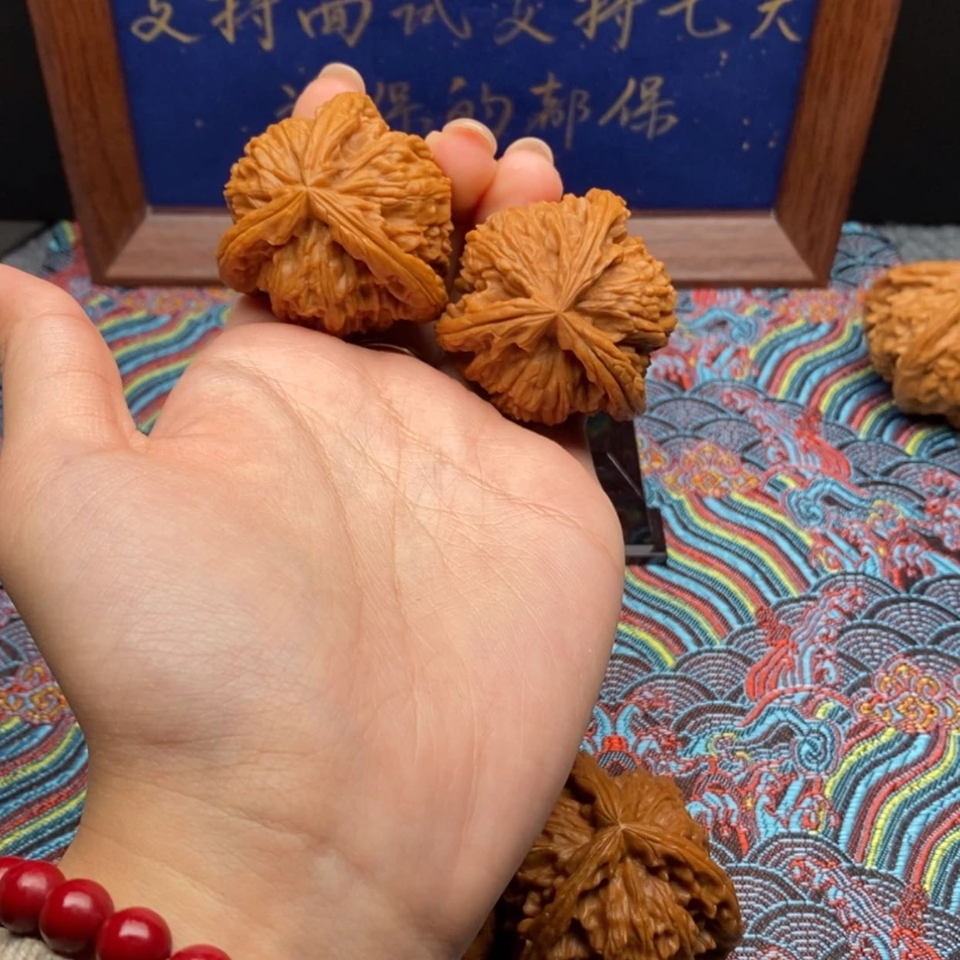 【闪购商品】跑**停白狮