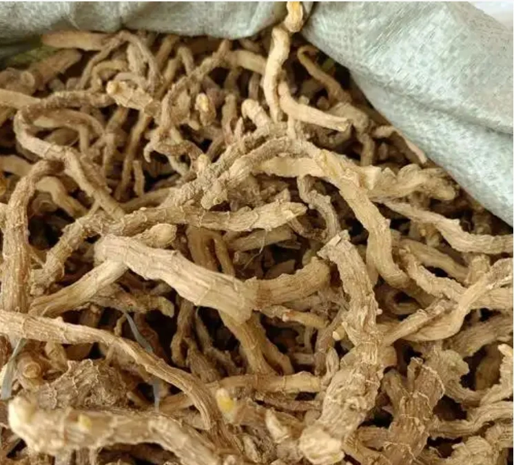 燕子专属--[玉竹]