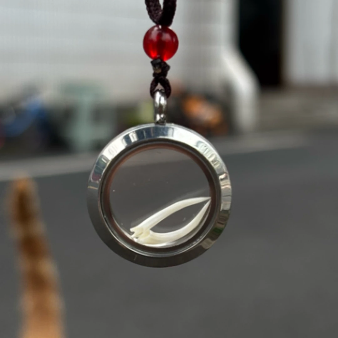 五步蛇毒牙吊坠护身符（大）