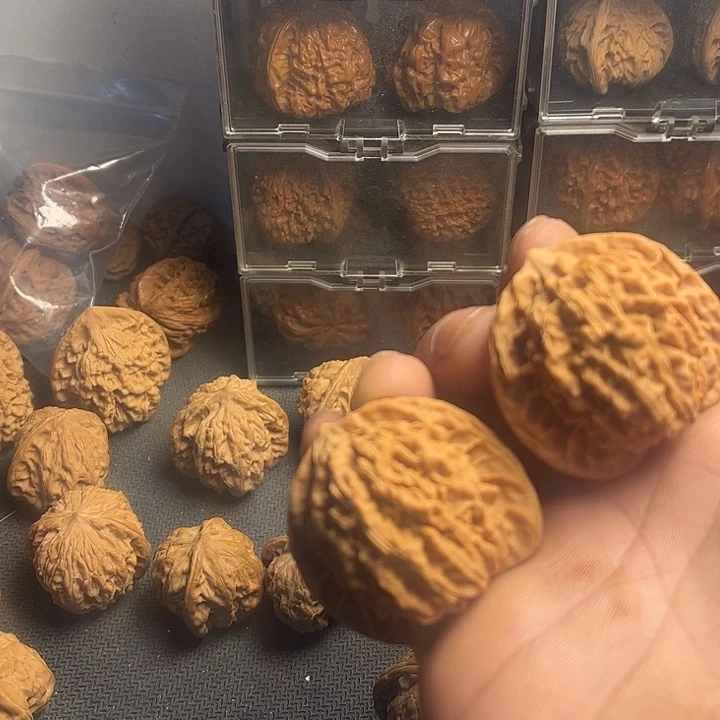 桃核吊坠43蟠龙纹…………