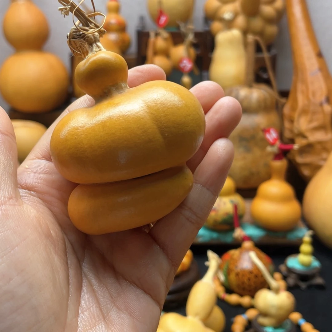 ?**?大自然的秘密第十节第一