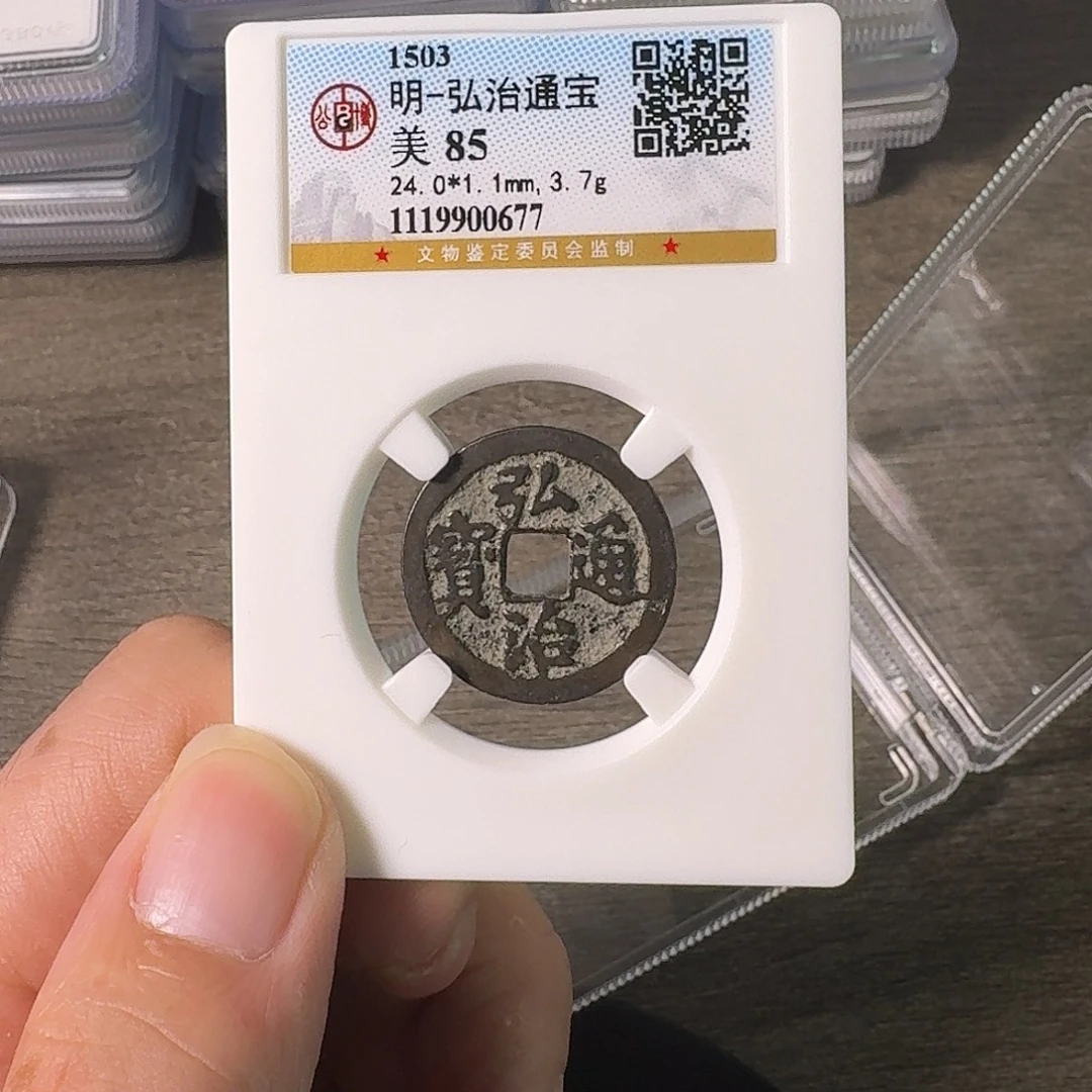 铜A闻博文化弘治通宝