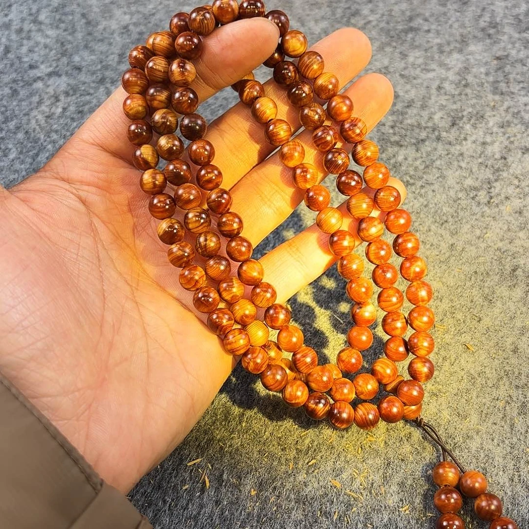 崖柏太行崖柏凤血金龙胆0.8