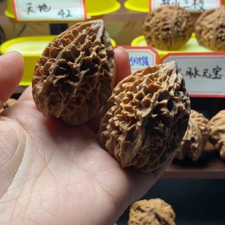 全品无修43招才鼠